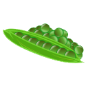 Green Bean Icon