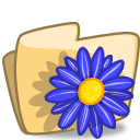 Folder Flower Blue Icon