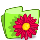 folder flower red Icon
