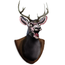 Deer Head Icon