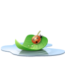 Pool leaf Icon