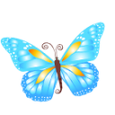 Butterfly blue Icon