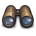 Golden Binoculars Icon