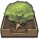 Tree in an inbox Icon