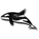 Dolphins Icon