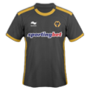 Wolverhampton Wanderers Away Icon