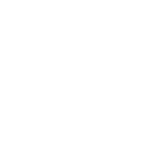Biathlon Paralympic Icon