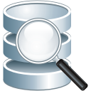 database search Icon