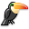 toucan Icon