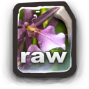 RAW Icon