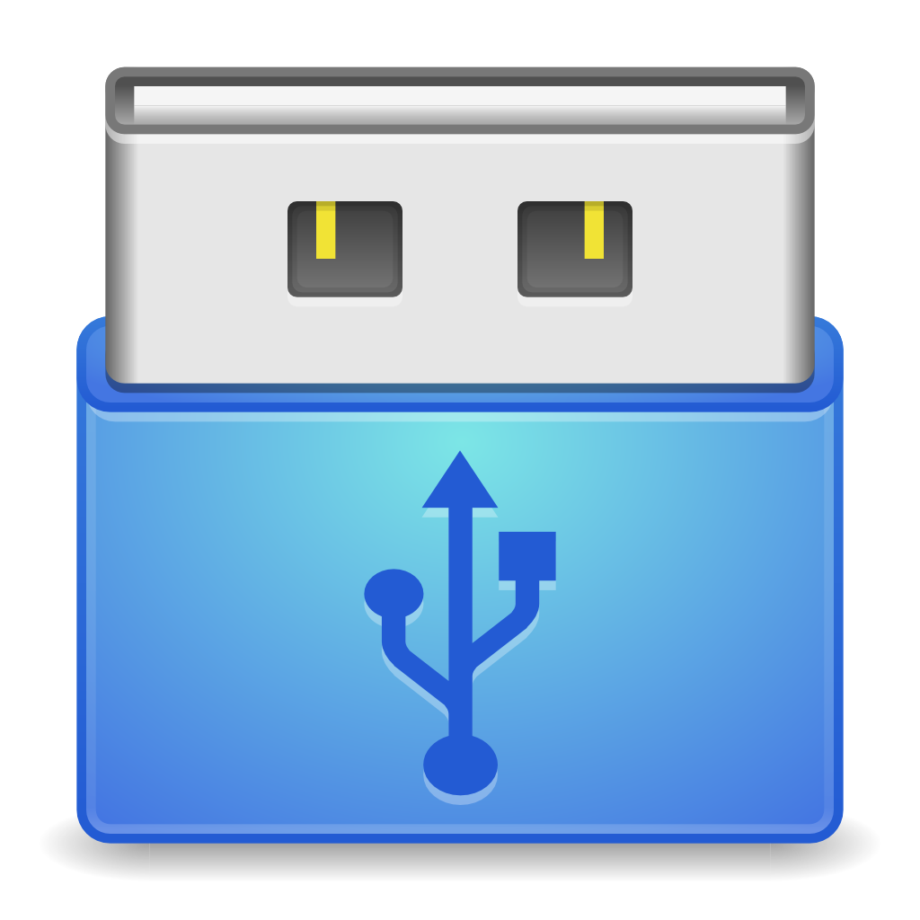 Devices drive removable media usb Icon