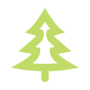 tree conifer Icon