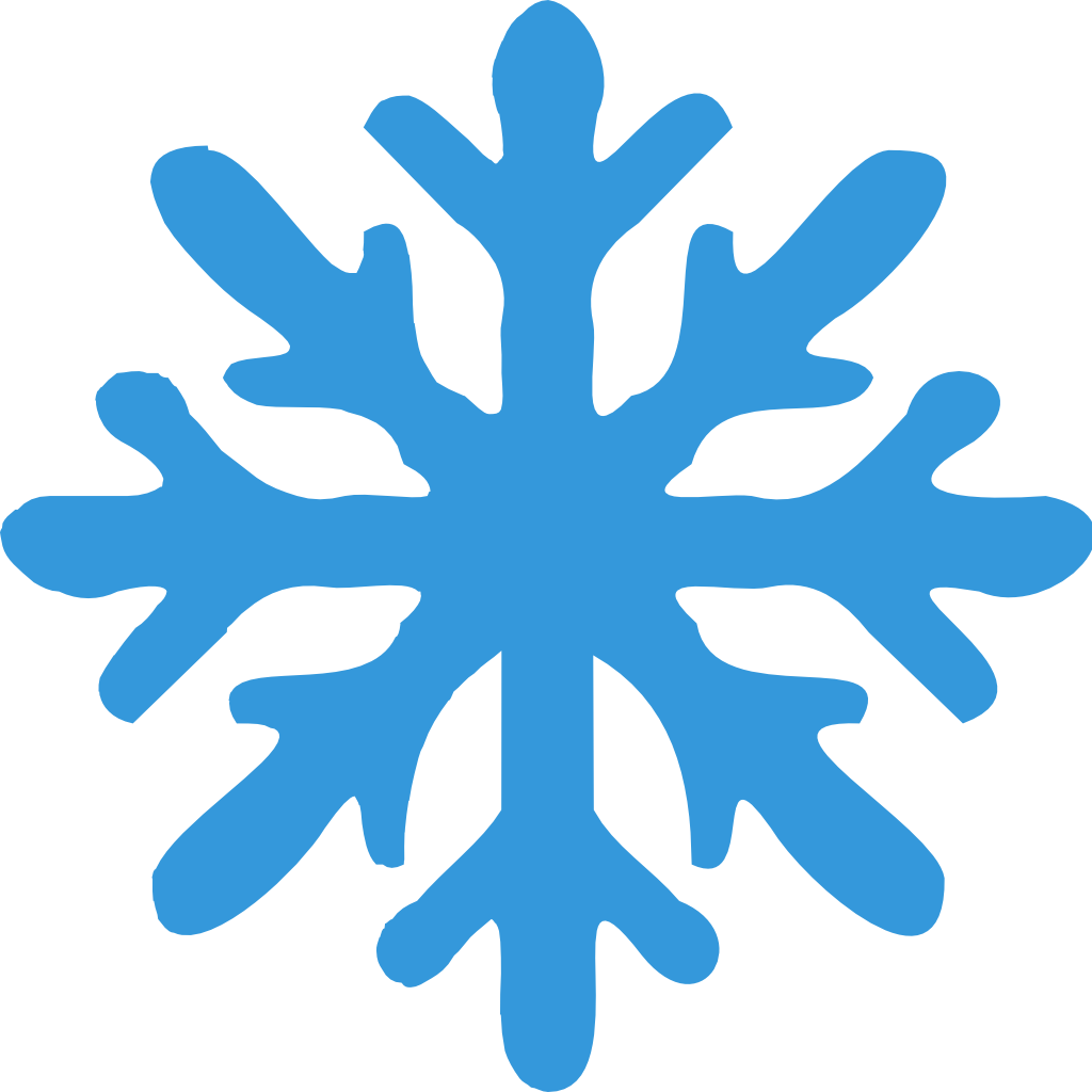 snow flake Icon