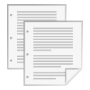 Document copy Icon