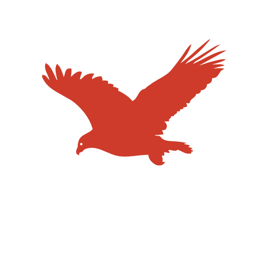 eagle Icon