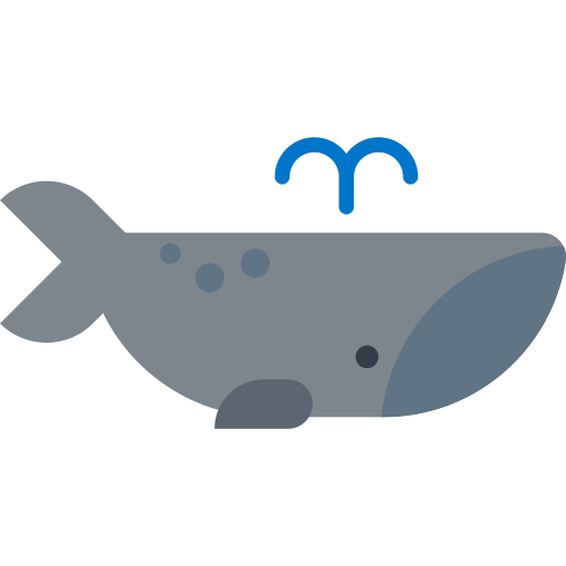 whale Icon