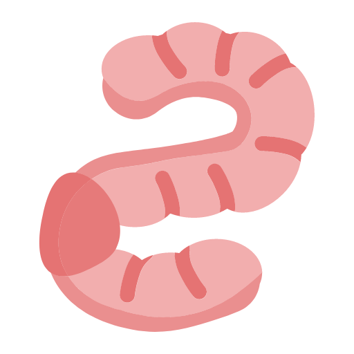 earthworm Icon