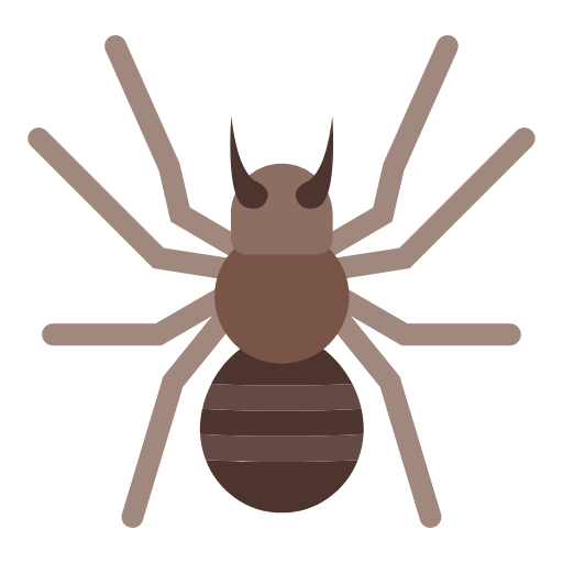 spider Icon
