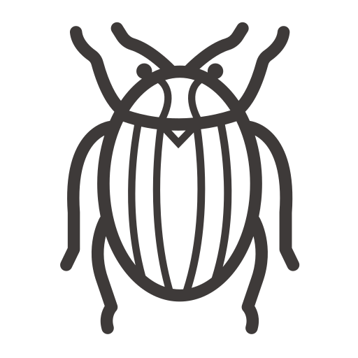 Potato beetle Icon