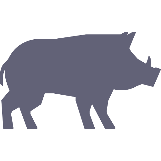 wild boar Icon