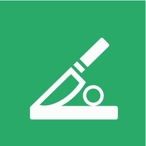 Cut chart Icon