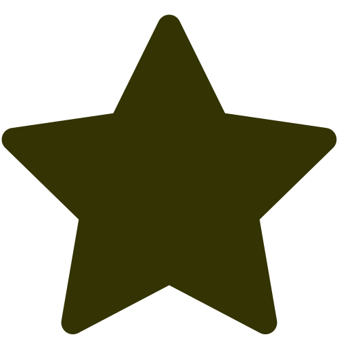 Map star Icon