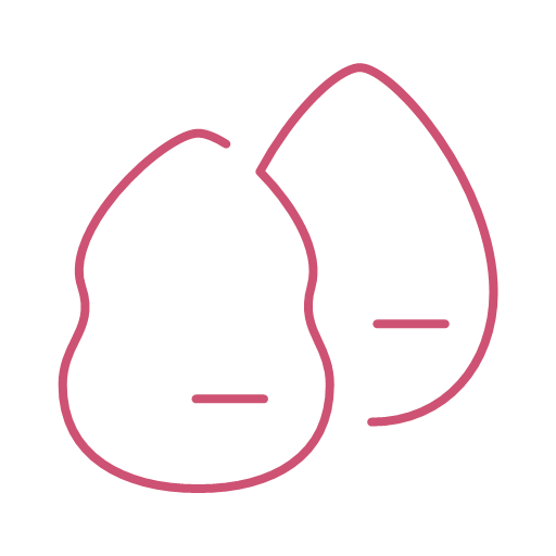 Beauty egg Icon