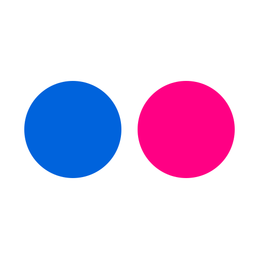 flickr Icon