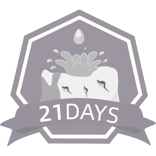 -21- Icon