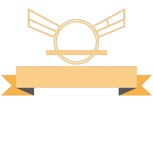 Medal icon 16 Icon