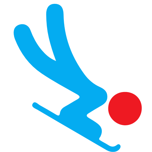 Winter Olympics - bobsleigh Icon