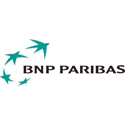 BNP Paribas (portfolio) Icon