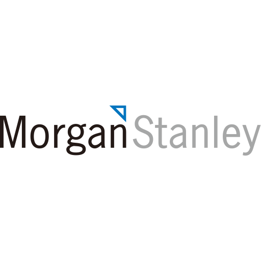 Morgan Stanley International Bank (portfolio) Icon