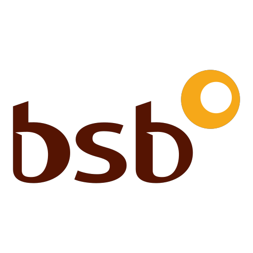 BSB Vector Icons Free Download In SVG PNG Format