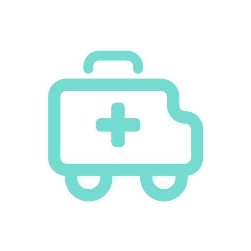 Medical delivery Icon