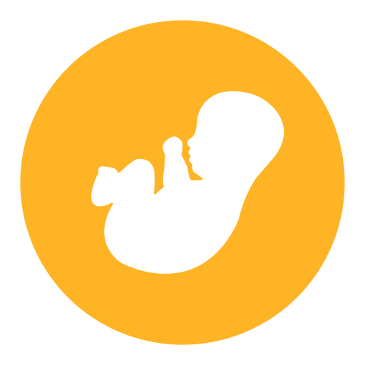 S_ Fetal growth curve Icon