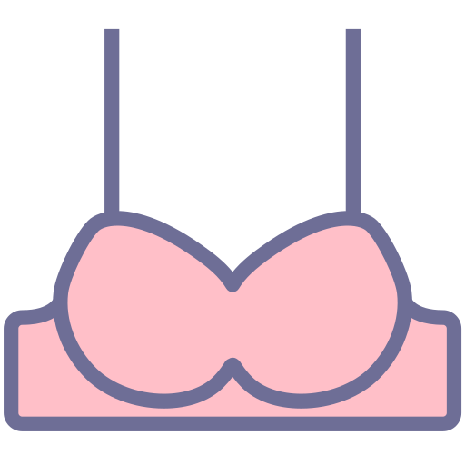 Women's underwear, bra Icon