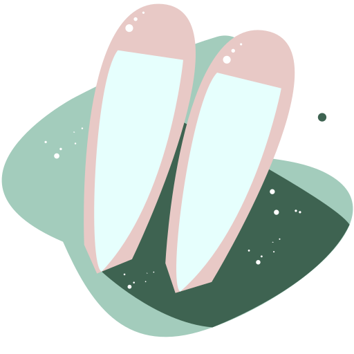 flat_shoes Icon