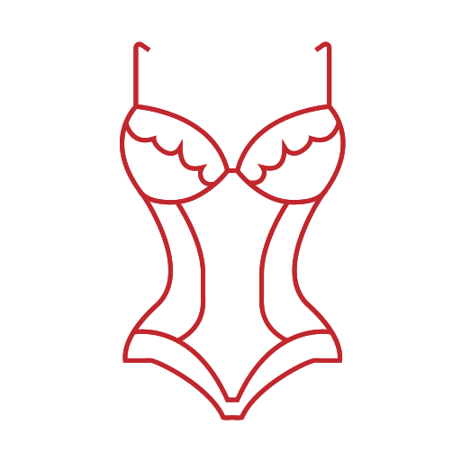 Sexy lingerie Icon