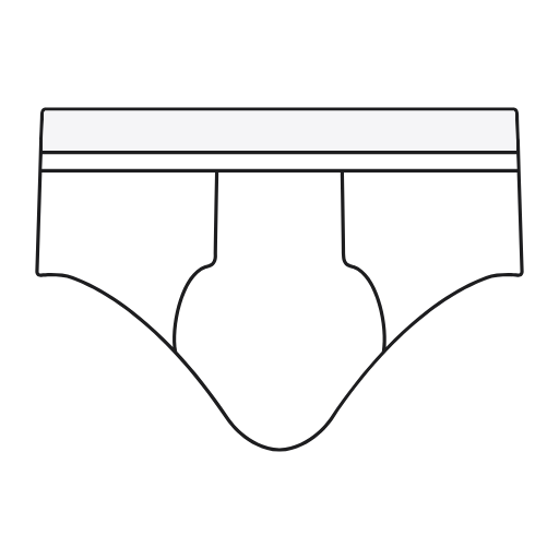 Briefs Icon