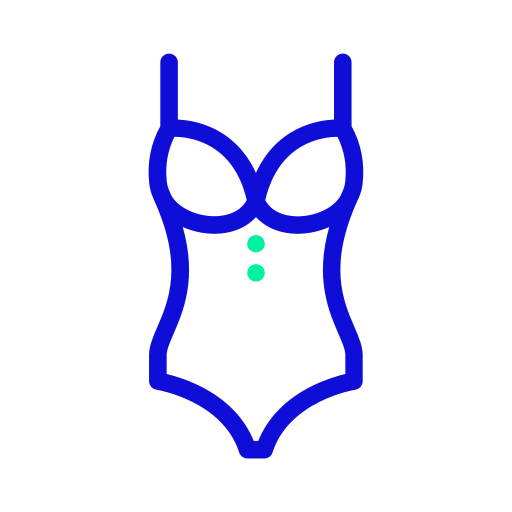 Bikini swimwear Icon