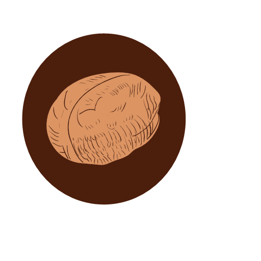 Leatheroid walnut Icon