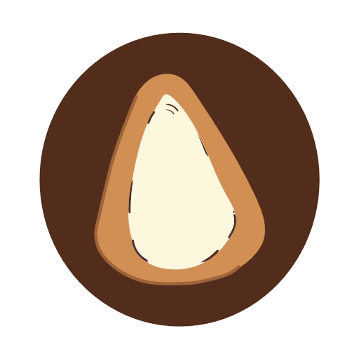Pine nut Icon