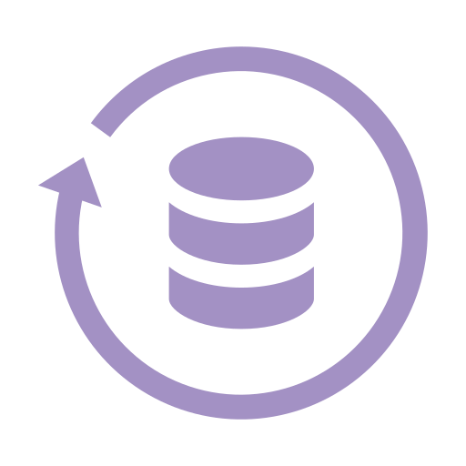 Database backup Icon