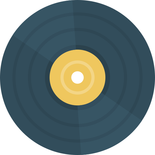 vinyl Icon