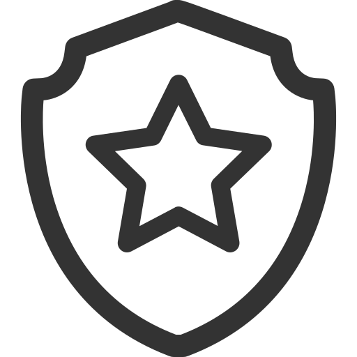 Public Security Icon