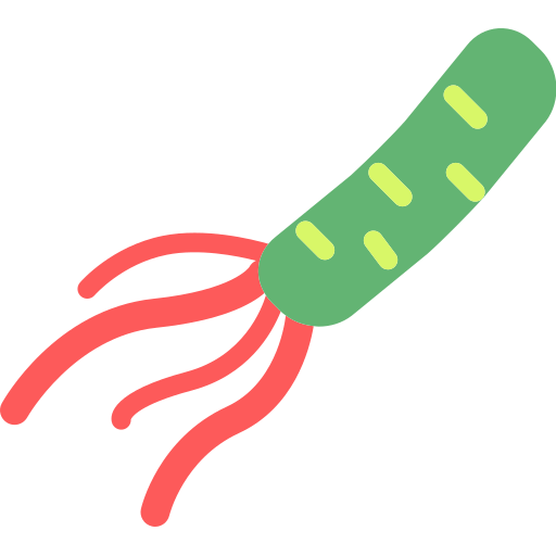 bacteria Icon