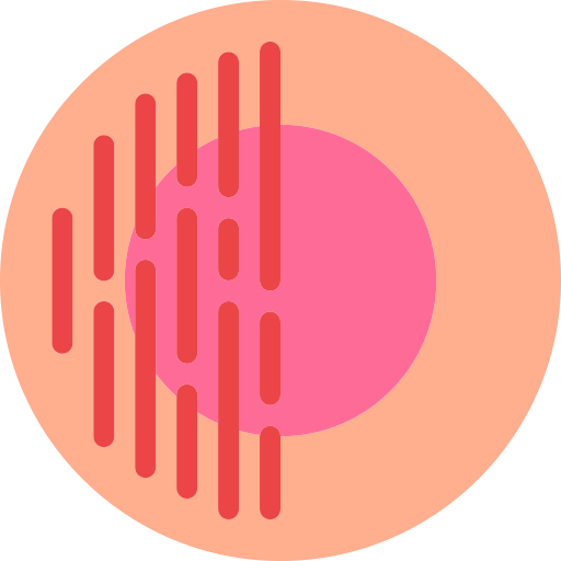 circlehalf Icon
