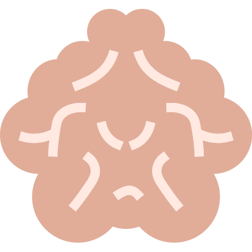 cloudorganism Icon