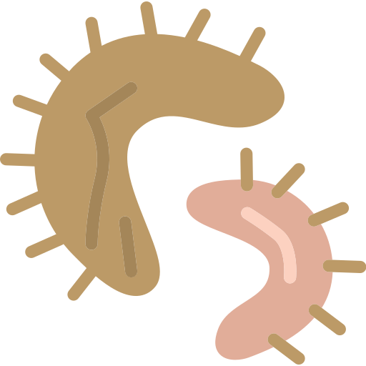 microorganism Icon